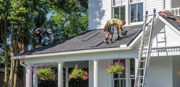 Best New Roof Installation  in Mills River, NC